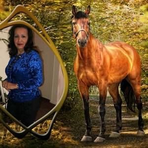 Meet your Posher, Bernadette